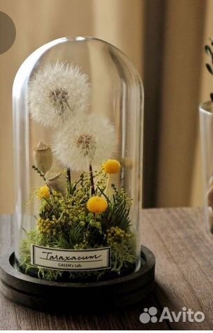 Клош H&M home Клош H&M home
