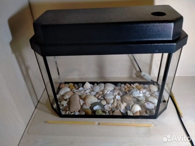 Аквариум для рыб 20 л с мор. камешками и ракушками Аквариум для рыб 20 л с мор. камешками и ракушками