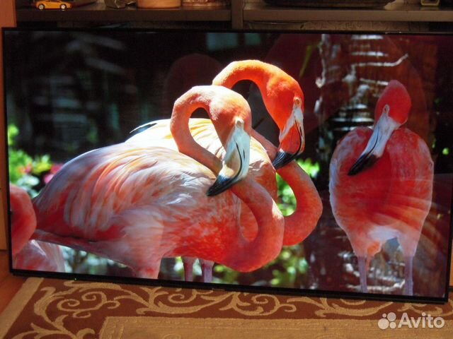 Oled Телевизор 55 oled Panasonic 55EZR950 Oled Телевизор 55 oled Panasonic 55EZR950