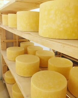 Обучение по сыроварению