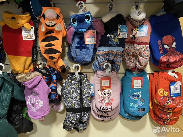 Одежда для собак