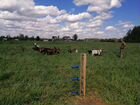 Животноводческая ферма козы/куры/картофель объявление продам