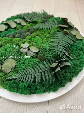 Круги со мхом с подсветкой. Логотипы из мха