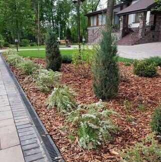 Кора сосны. Мульча