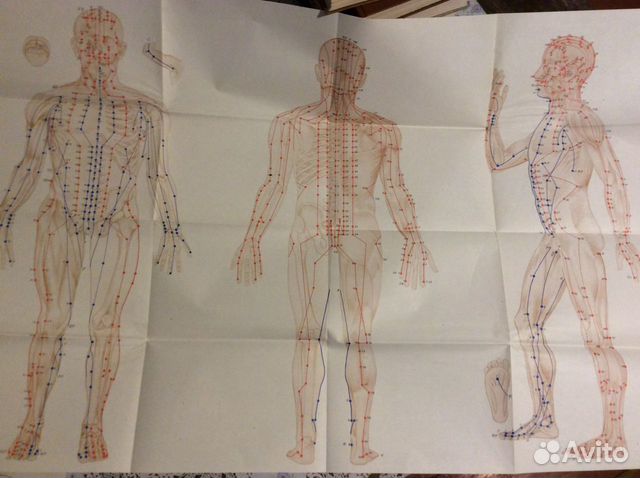 Рефлексотерпия. гаваа лувсан