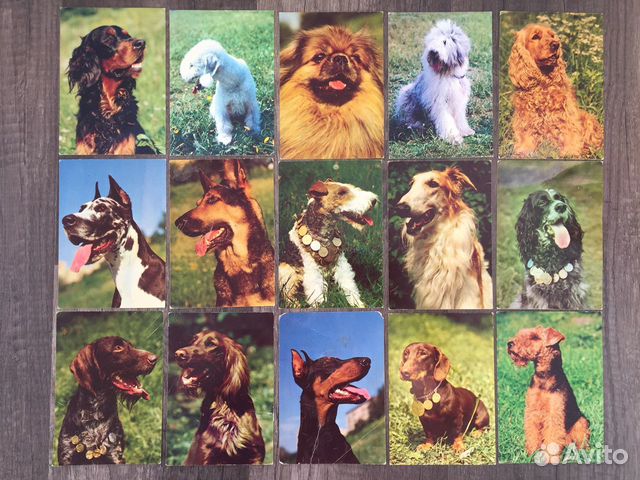 Открытки СССР Животные