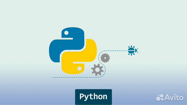 Индивидуальное обучение программированию на Python