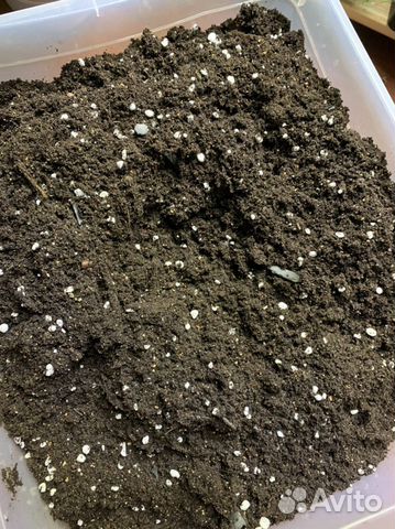 Грунт для комнатных цветов готовый универсальный