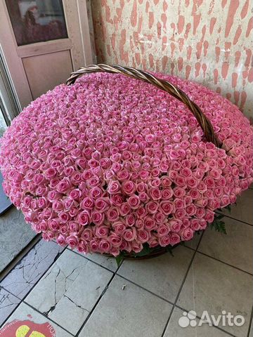 Розы 25 шт 51 роза 101 роза 151 опт