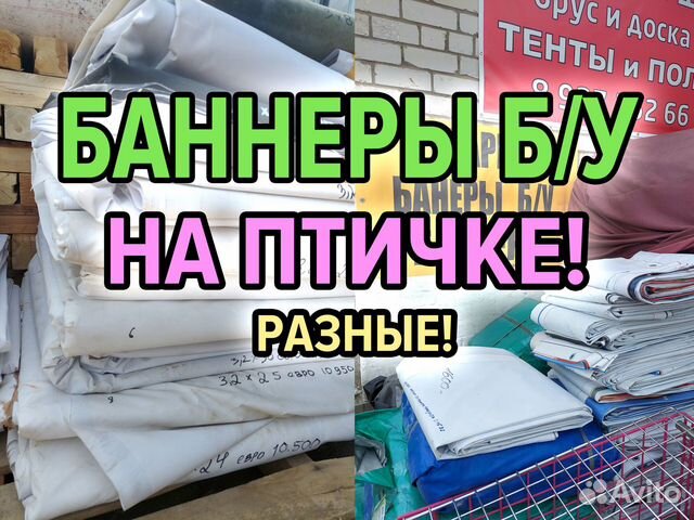 Обои на птичке в самаре