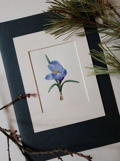 Картина. Крокус весенний. акварель. миниатюра