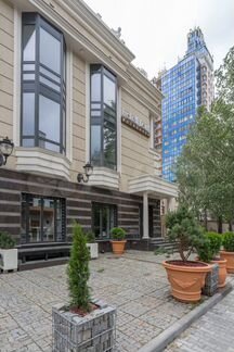 Помещение свободного назначения, 511 м²