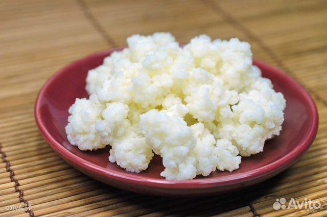 Молоч.гриб,Индий.морск.рис,Чайный гриб,Микрозелень