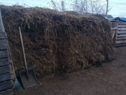 Конский навоз