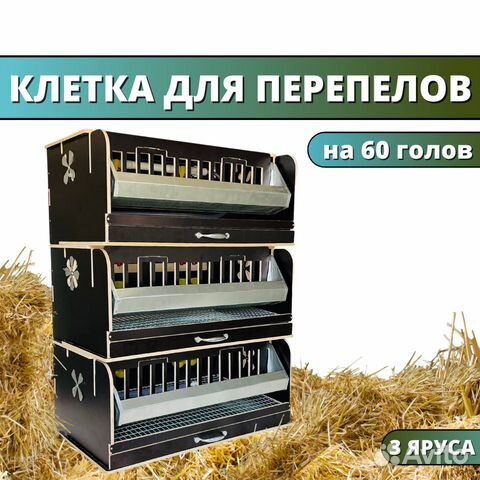 Клетка для перепелов на 60 голов