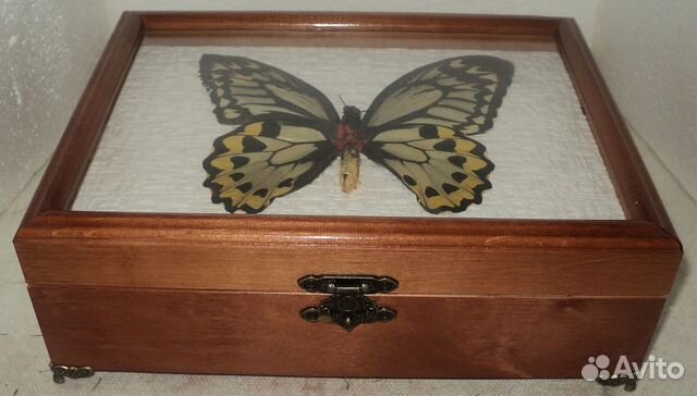 Шкатулка для чая