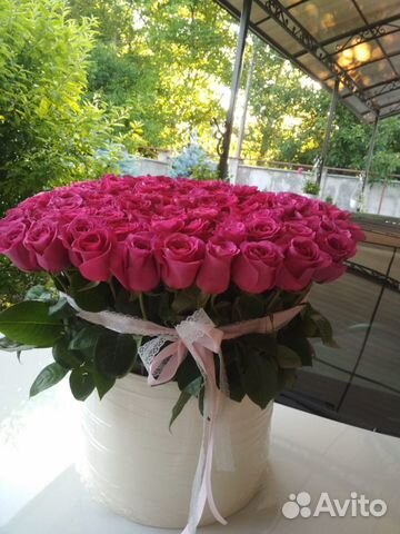 Роза Эквадор оптом