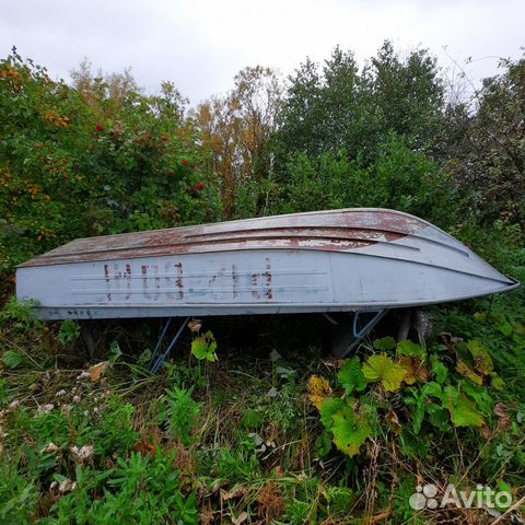 Катер луч на оке