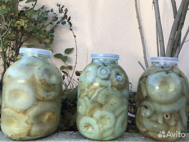 Грибы грузди белые, рыжики, маслята соленые