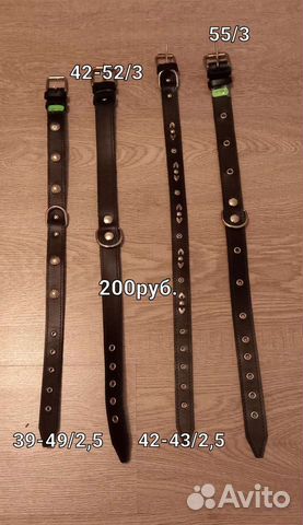 Ошейник для собак