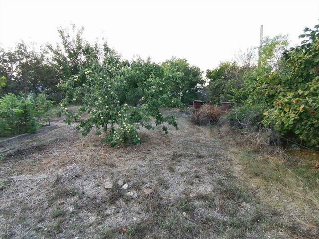 Участок 4,8 сот. (СНТ, ДНП)