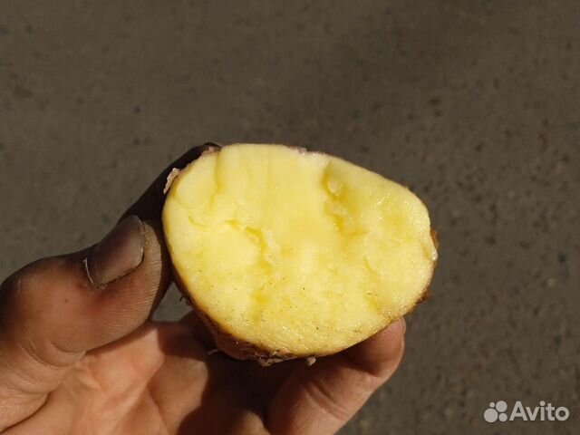 Картофель на еду