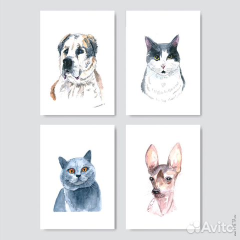 Подарок близким. Портрет кота, собаки на заказ