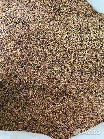 Семена красного клевера