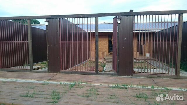 Передержка собак, зоотакси