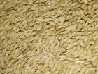 Продам пшеницу,ячмень.урожай 2022г объявление продам