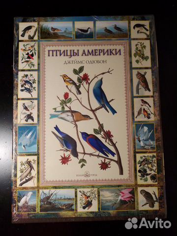 Детская книга Большие заботы кроликов Виммельбух