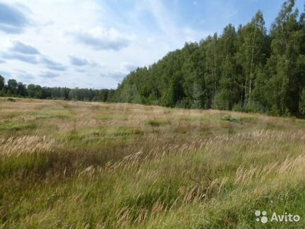 Участок 5,5 га (СНТ, ДНП)