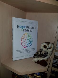 Сьюзан Томпсон: Заблокированные нейроны. Инновацио