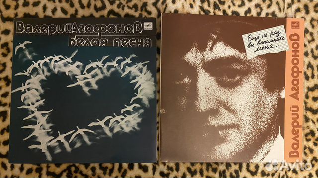 Магазин винила на жуковского 20 в питере. Винил жуковский. Imagine club магазин виниловых спб. Винил жуковский. Сказка о царе берендее жуковский.