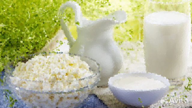 Домашнее молоко (Патрушева)