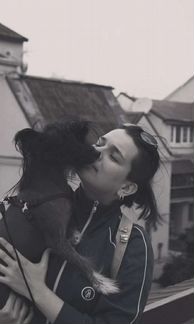 Котоняня, dogняня, домашняя передержка, зооняня