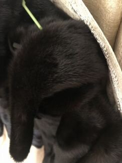 Шуба норковая с капюшоном 42-44