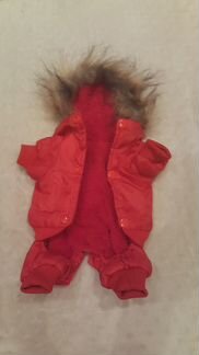 Куртка утепленная для мини той-терьера