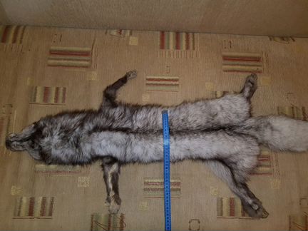 Шкура песца, шкурка песца