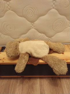 Собака 50 см