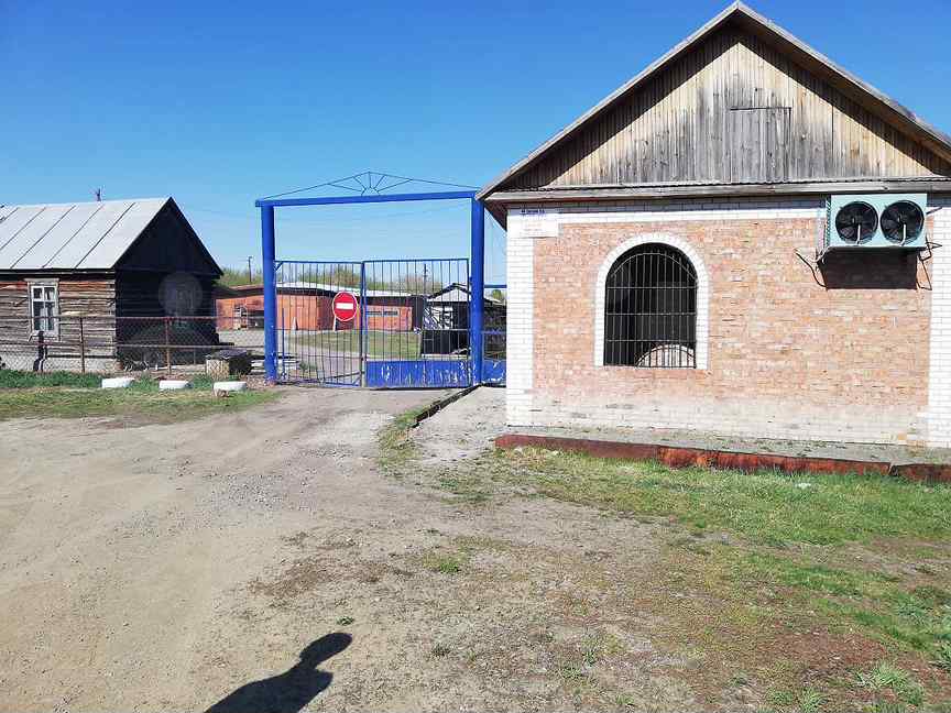 Погода в среднесибирском тальменского. Поселок Среднесибирский Алтайский край. Поселок Среднесибирский Алтайский край Тальменский район. Алтайский край Тальменский район п Среднесибирский храм. Пос. Среднесибирский (Тальменский район).