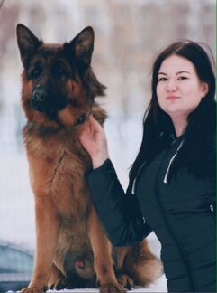 Кинолог