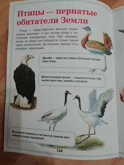 Большая энциклопедия дошкольника