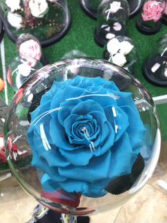 Небесно-голубая роза в колбе