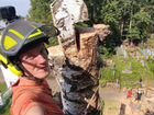 Спилить дерево на кладбище объявление продам