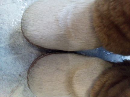 Унты на 34 размер Moregor