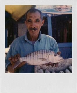 Polaroid 600 кассета цветная