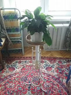 Женское счастье