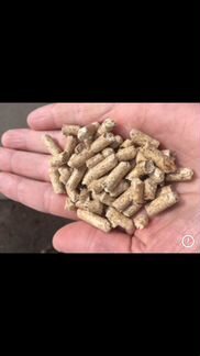 Древесный наполнитель для кошачьего туалета