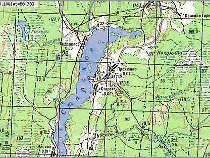 Карта хвойная новгородской области